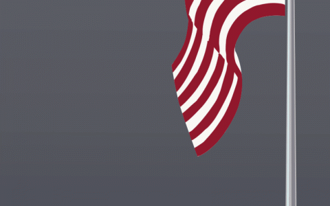 Flag Animation